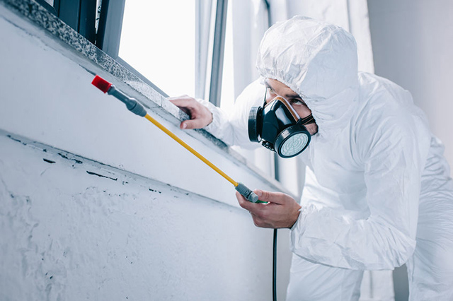 Image of pest control operative spraying under window using a wand and wearing  white protective equioment and respirator